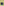         PRE-ORDER VESSEL, Blue nights
