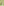         PRE-ORDER VESSEL, Lint