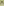         PRE-ORDER VESSEL, Lint