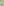         PRE-ORDER OVAL, Lint