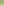         PRE-ORDER OVAL, Lint