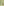         PRE-ORDER OVAL, Lint