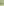         PRE-ORDER OVAL, Lint